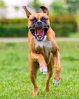 DSC00331 Target Park 7 16 21 Jackson-Edit-Edit SM Full Rez