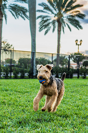 3F6A2279 Bonefish Park 3 3 19 SM Full Rez