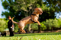 3F6A5908 Lake Ida Dog Park 3 27 19 SM Full Rez