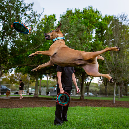3F6A0031 Lake Ida Dog Park 2 19 19 SM Full Rez