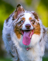 3F6A9660 Lake Ida Dog Park 2 14 19 SM Full Rez