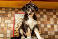 3F6A0963 Steffys Arlo SM Full Rez
