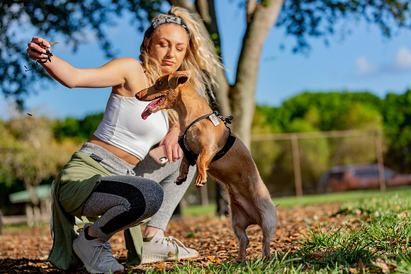 3F6A5916 Lake Ida Dog Park 3 27 19 SM Full Rez