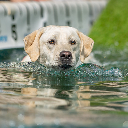 3F6A8906 Paws in the Park-Edit SM Full Rez