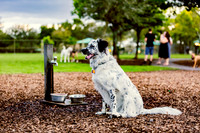 3F6A9796 Lake Ida Dog Park 2 14 19 SM Full Rez