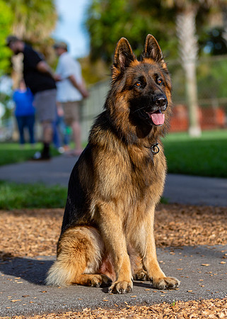 3F6A0511 Lake Ida Dog Park 4 8 19 SM Full Rez