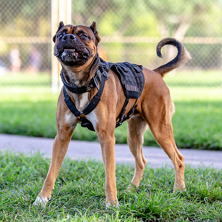 3F6A0415 Lake Ida Dog Park 4 8 19 SM Full Rez