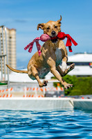 3F6A9340 Paws in the Park-Edit SM Full Rez 12 x 18