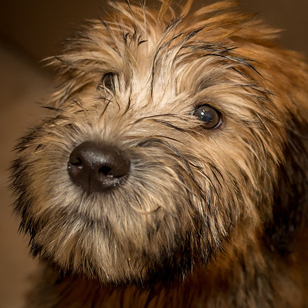 3F6A9679 Willow Baby SM Full Rez