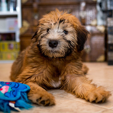 3F6A9698 Willow Baby SM Full Rez