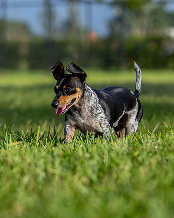 3F6A2468 Taget Park 6 24 19 SM Full Rez