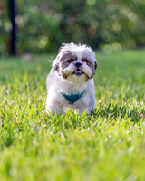 3F6A2261 Taget Park 6 24 19 SM Full Rez