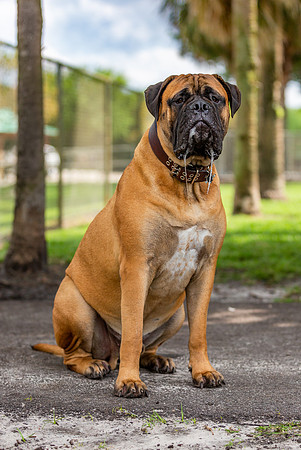 3F6A5271 Lake Ida Dog Park 3 21 19 SM Full Rez