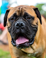 3F6A5261 Lake Ida Dog Park 3 21 19 SM Full Rez