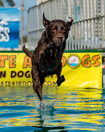 3F6A9336 Paws in the Park SM Full Rez