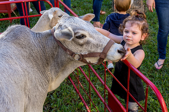3F6A1580 Wills Petting Zoo Bday SM_