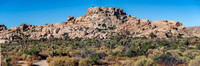 DSC05951 Joshua Tree Trip Pano SM Full Rez