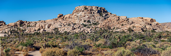 DSC05951 Joshua Tree Trip Pano SM Full Rez