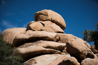 DSC05560 Joshua Tree Trip SM Full Rez