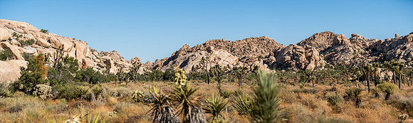 DSC06037-Pano Joshua Tree Trip SM Full Rez
