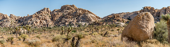 DSC06040-Pano Joshua Tree Trip SM Full Rez
