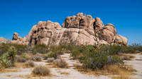 DSC03611 Joshua Tree Trip SM Full Rez