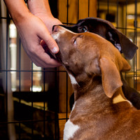 3F6A8786 Wags and Whiskey 4 13 19 SM Full Rez-2