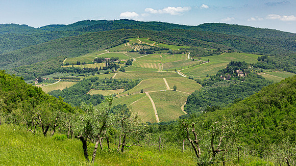 3F6A5448 Lucca Tolatopia Trip SM Full Rez