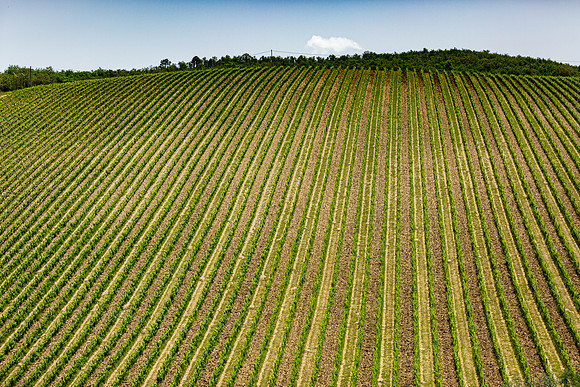3F6A5450 Lucca Tolatopia Trip SM Full Rez