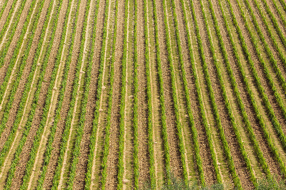 3F6A5563 Lucca Tolatopia Trip SM Full Rez