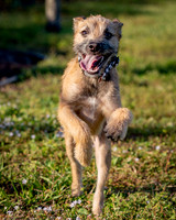 DSC02059 Target Park 1 20 20 SM Full Rez Finn