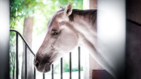 DSC01189 Wyndsor Farm 7 9 20 SM Full Rez
