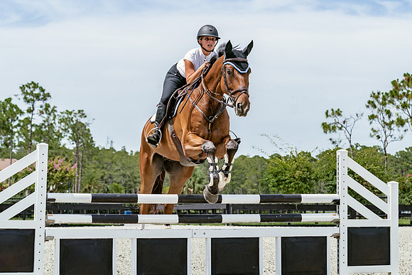 DSC01033 Wyndsor Farm 7 9 20 SM Full Rez